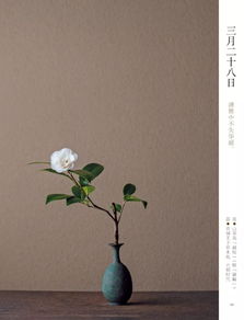 第一届 花式炫富 赏花会