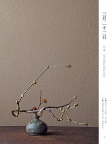 第一届 花式炫富 赏花会