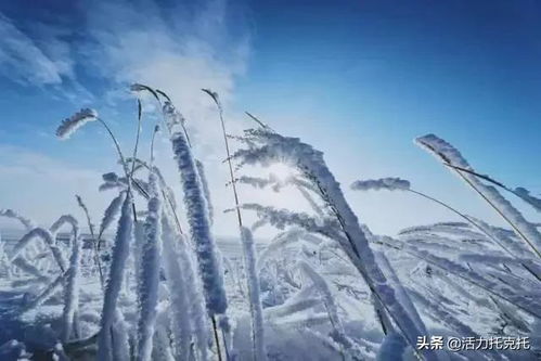 冰雪冬运畅游内蒙古 抖音挑战赛即将上线