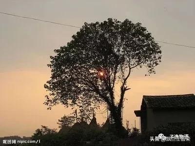 散文荟 永 远 的 风 景