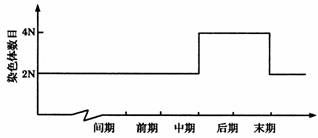 2.有性生殖 是指经过两性生殖细胞结合.产生合子.由合子发育成新个体的生殖方式.有性生殖的优点是 后代的遗传物质来自2个亲本.所以具有2个亲本的遗传性.具有更大的生活力和变异性 