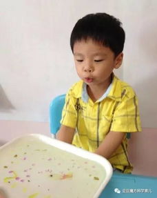 家庭国际教育,请选择家庭式主题方案教学,让孩子们在玩中学,学中玩 