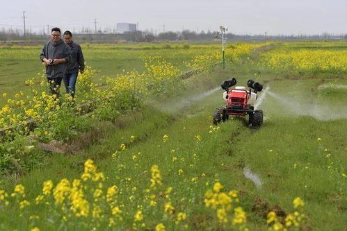 你晓得啵咯 科学技术让今年春耕更 智慧
