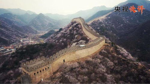 央视快评丨共同守护好全人类的文化瑰宝和自然珍宝