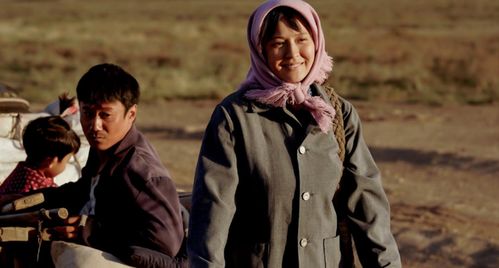 山海情 为了一头驴嫁人的西北女人水花如何活成了吊庄之光