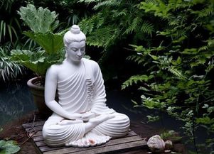 佛教 在修行的时候,有两种遗憾不要留