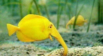 恶搞PS求大神把我背景黄色囚服P掉,不想让我姐看到我在外吃苦