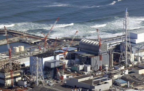 逢日必跪 面对日本放毒 蔡英文沉默一天后憋出几句话 岛内炸锅