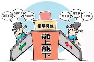 划重点 知大局为大局 2017浙江组织工作这么干