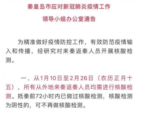 事关回家过年,国内多地明确返乡者需持 核酸检测阴性证明
