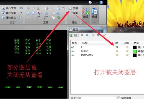 我的电脑CAD 打开看不到数据 