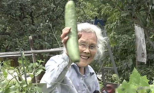 人生果实 从人的三层生活角度来解读津端夫妇的田园人生