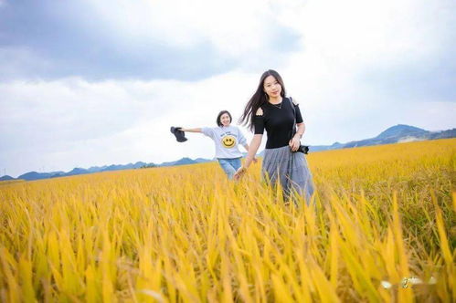 多彩之黄丨千树扫作一袭黄,最美秋日来贵州