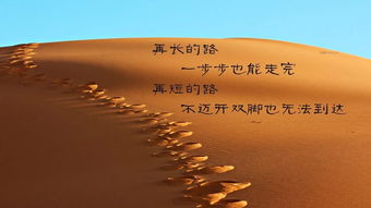 十句常见的考研英语句型分析 