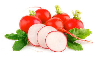 春季养生食谱 立春后必吃的养生菜 春季养生食谱 萝卜 养生动态 健康一线 