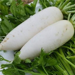 让家人吃一口就爱上的萝卜丝饼,诸多小窍门我只告 