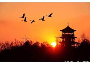 杭州西湖, 武汉东湖, 嘉兴南湖, 你知道北湖在哪吗 闭关8年在搞什么 