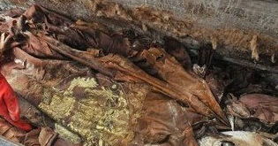 冰冻600年的古尸生活婴是真的吗?
