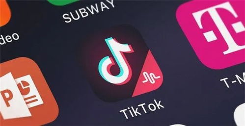 最新 不卖了 TikTok向美提交解决方案