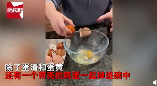外国一女子家母鸡产下10厘米高巨蛋,她敲开后全家人瞬间欢呼 