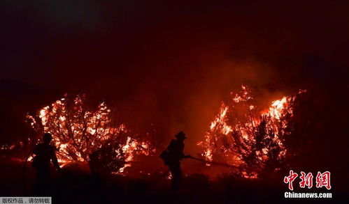 美山火已烧毁加州330万英亩土地破纪录 