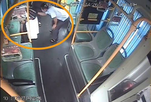 广州一女乘客突然在公交车上呼救 司机果断关门(广州 司机 女乘客)