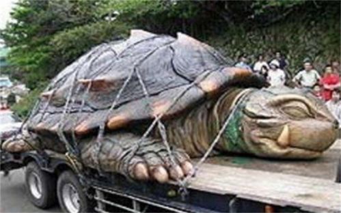 1965年黄河巨龟事件 祭祀的前一夜,神秘巨龟为何离奇消失