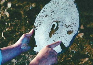 1938年青海发现数百个万年前的石蝶，所称杜力巴石蝶(1938年青海石碟)