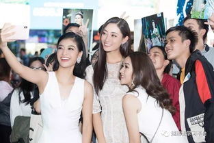 2019年越南世界小姐前三名,新山一机场形象推广活动倍受关注 图文