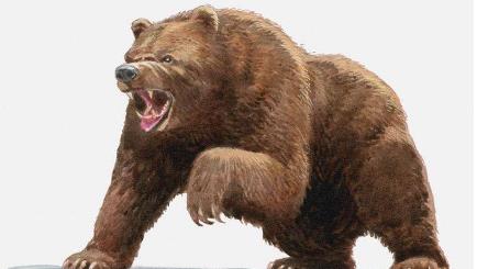 俄罗斯棕熊吃人事件 主人养熊的真实案例被吃掉了(俄罗斯棕熊吃人真实视频)