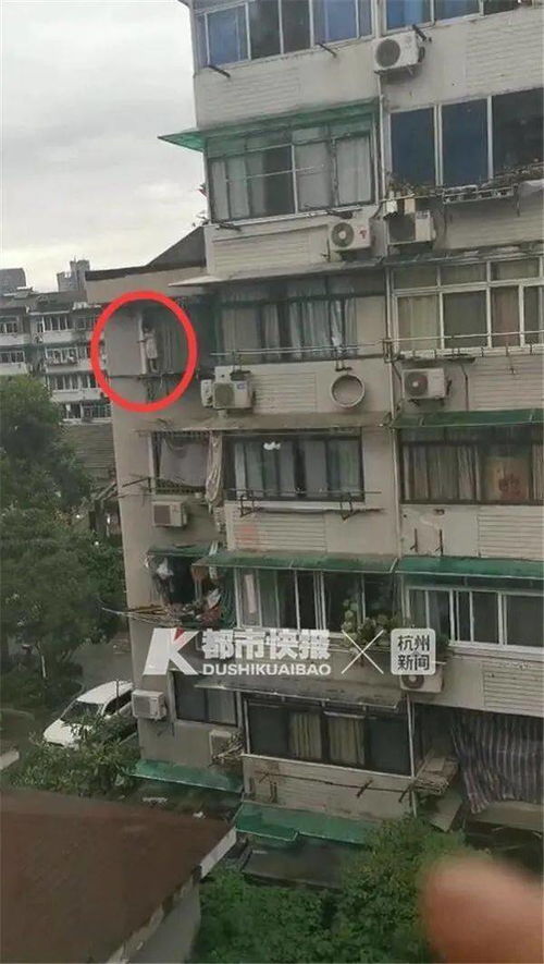 小女孩爬到5楼窗外,杭州大姐隔空狂吼半小时,网友 中国好邻居