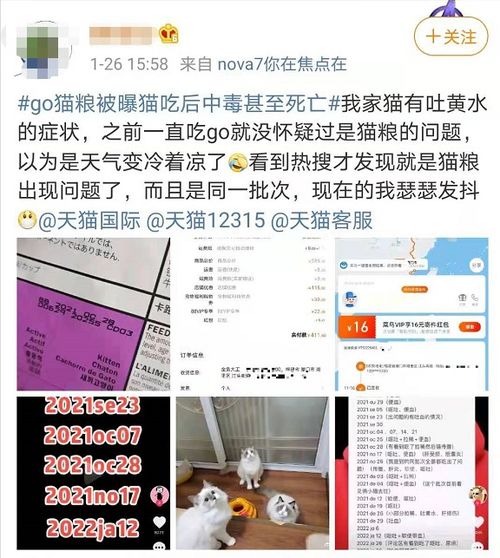 go猫粮 被曝致猫呕吐便血甚至死亡,代理商回应 天猫下架
