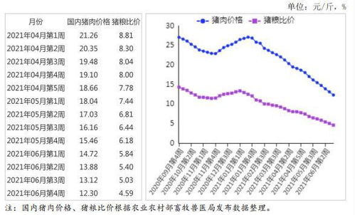 2021年7月猪肉市场供需及价格走势预测分析 猪价连续 22 周回落,养殖亏损加剧