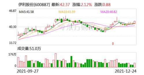 中年失业借钱炒股 年初50万只剩13万