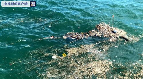 江苏盐城海域一山东籍渔船翻沉,目前1人获救,1人遇难,5人失联