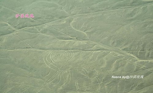 秘鲁发现长37米猫形地画,只能从空中欣赏的两千年前的奇迹