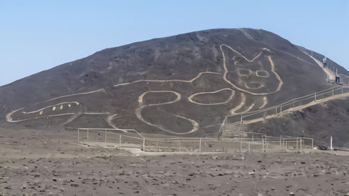 秘鲁发现37米猫形地画,距今2000多年