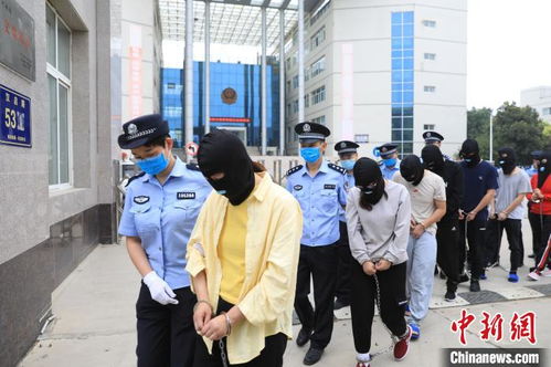 郑州警方查获一盘踞境外网络赌博犯罪集团 冻结资金逾5亿元 