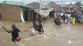 尼日利亚中部爆发洪水11人死亡 
