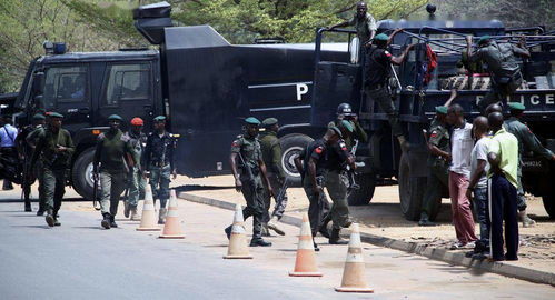 媒体 尼日利亚军队解救出7名遭绑架学院师生