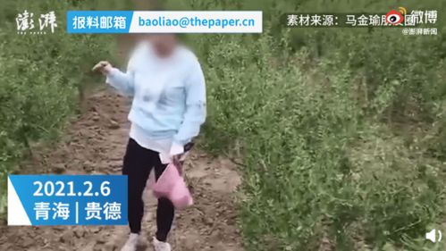 自述遭家暴前女记者再发声 曝光是为了重新爬起来