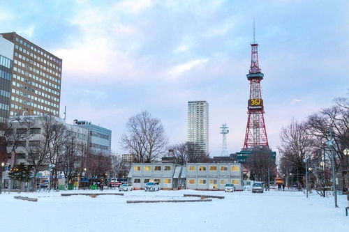 日本札幌欲申办2030年冬奥会,或难过民意和经济关
