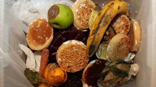 研究显示全球1 3食物被浪费 严重危害环境 