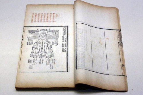 史上第一个刑事昆虫学 来自中国法医手册《洗冤集录》