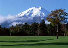 日本知多少 八大符号呈现全景日本 