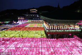 釜山寺庙点亮5万灯笼为半岛和平祈福