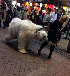 女子牵着600斤的 大白狗 逛街,路人好奇围观,看清后掉头就跑