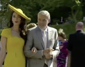 哈里王子大婚女宾帽子抢镜,好像戴了顶向日葵 
