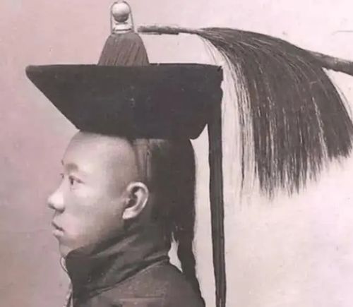 清朝为什么强制要求汉人留辫子,英国女子表示太脏了 头发 