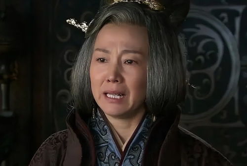 三妻四妾 的年代,刘备的夫人们结局都如何